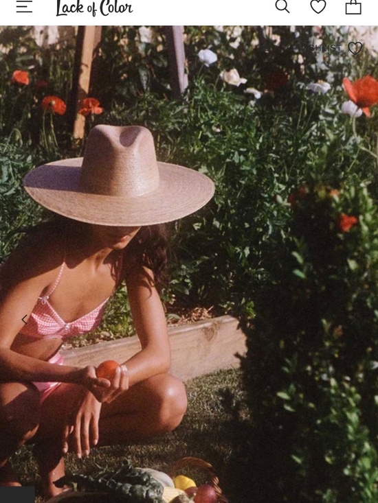 Lack of Color Palma Wide Brim Fedora in Small/Medium main image 9